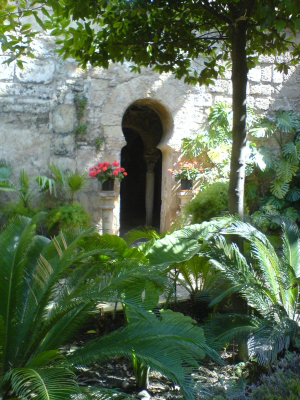  View into one of botanical gardens in Mallorca